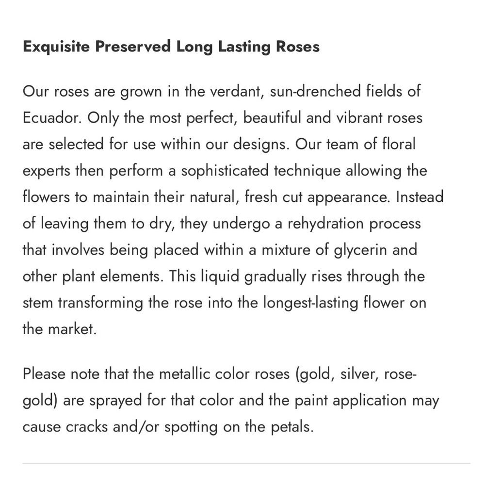 The Million Roses: Peach & Gold Mini Roses ✨ - Picture 5 of 10